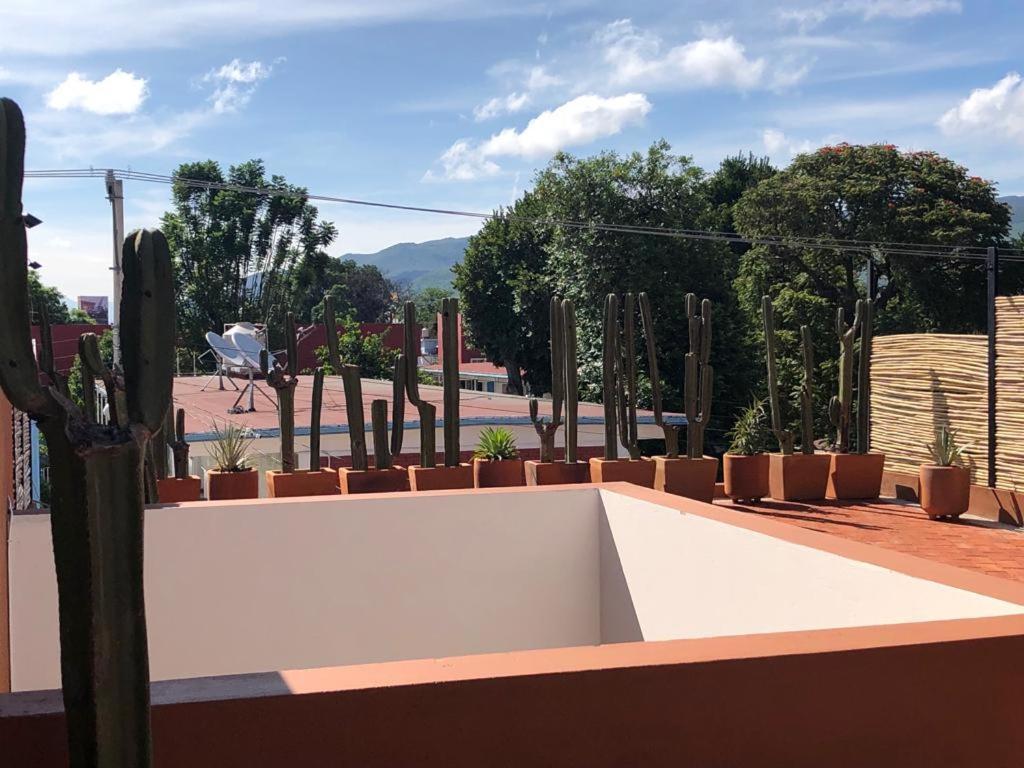 Апартаменти Casa Cronica Oaxaca Екстер'єр фото