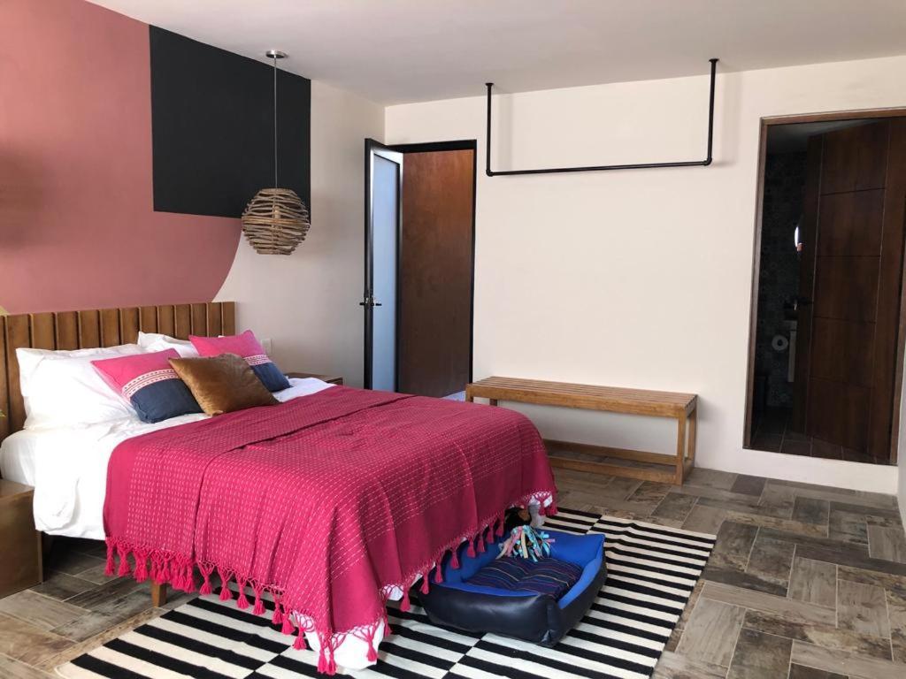 Апартаменти Casa Cronica Oaxaca Екстер'єр фото