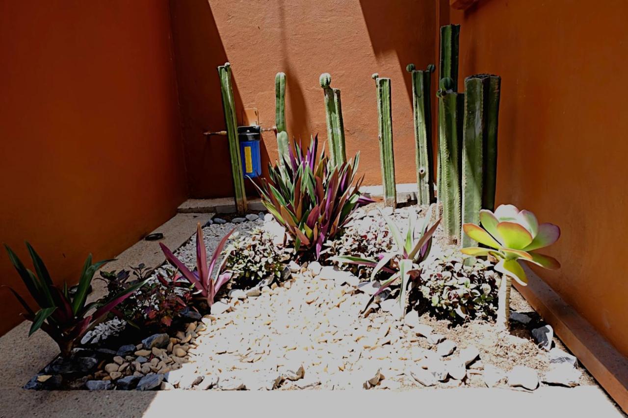 Апартаменти Casa Cronica Oaxaca Екстер'єр фото